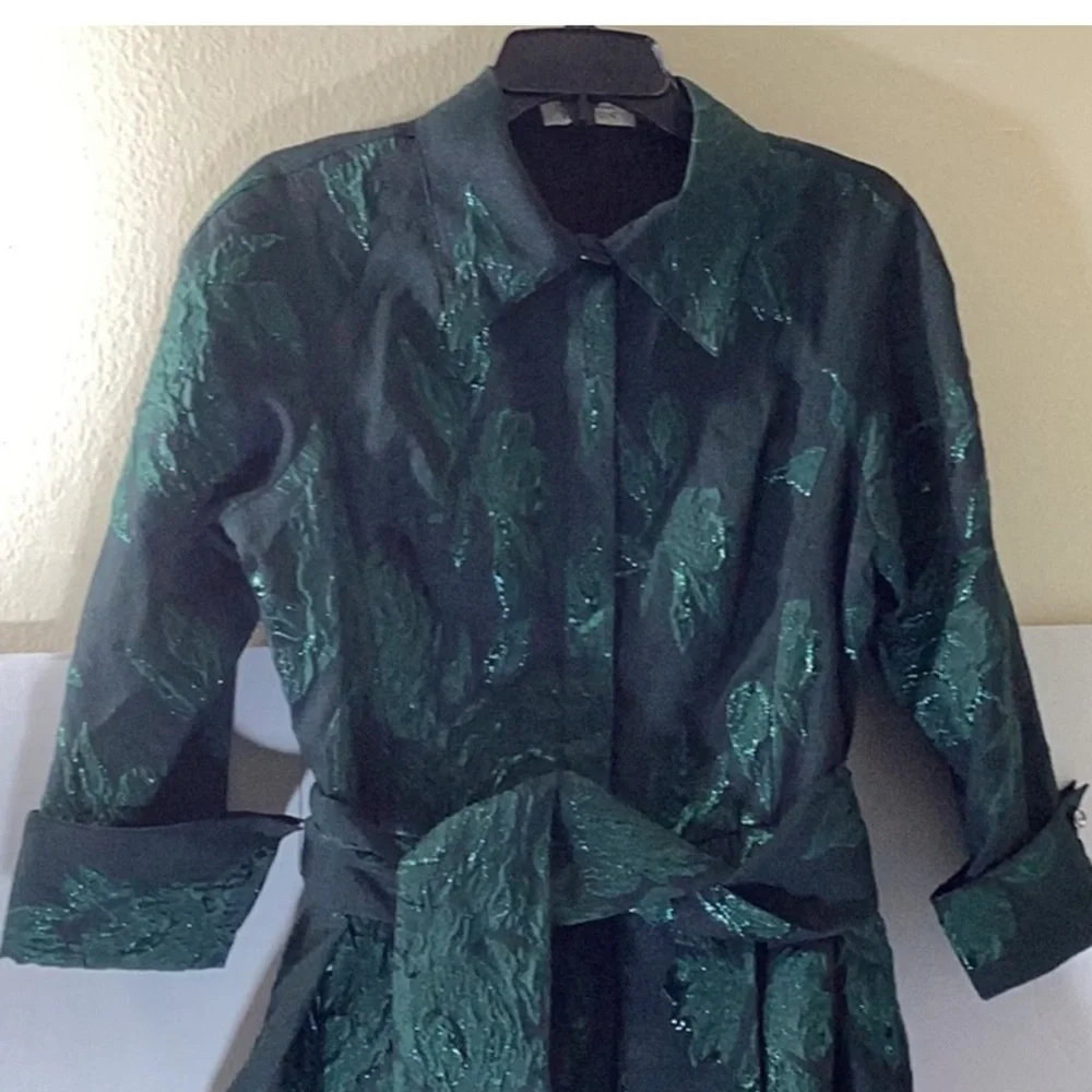 Teri Jon Rickie Freeman A-Line Jacquard Embroidered Green Shirt dress Gown 8 - Picture 5 of 12